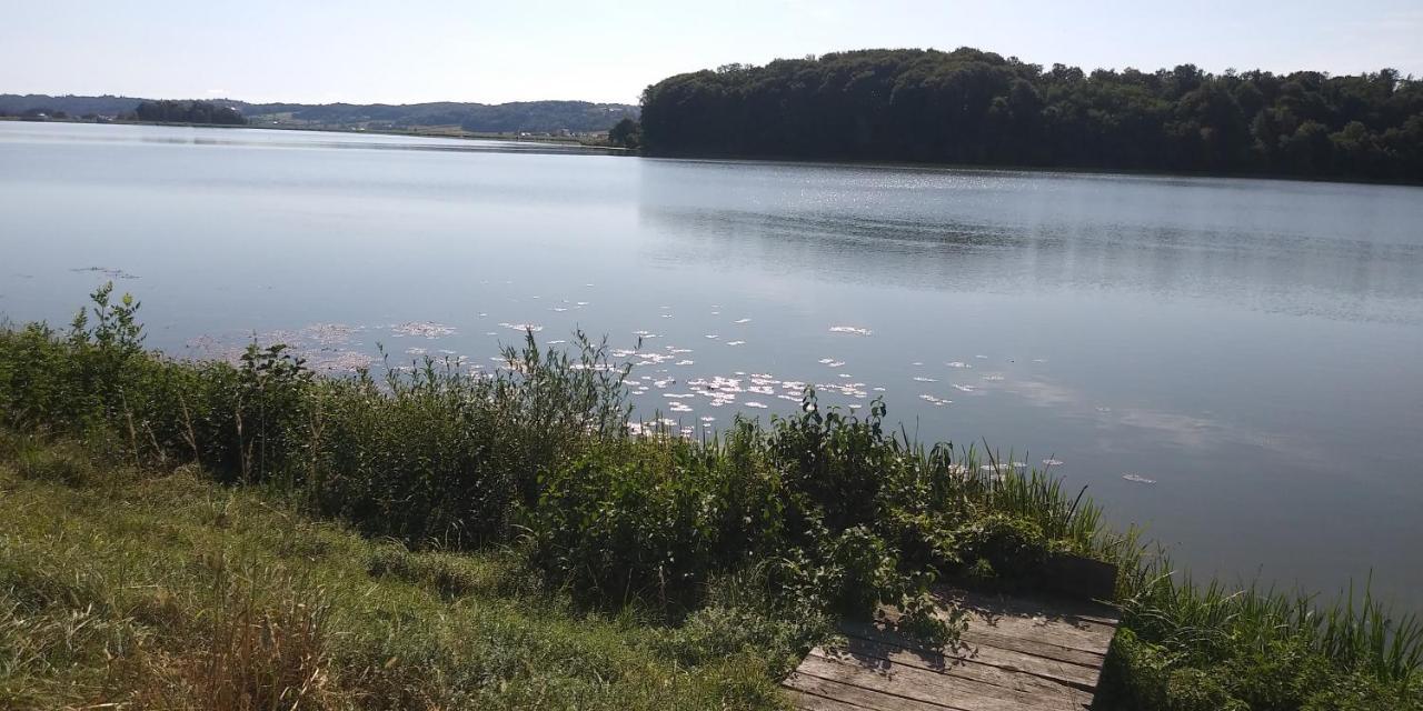 Križevci pri LjutomeruApartma Mbm公寓 外观 照片